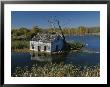 Wetland Reclamation Of Old Farmland by Raymond Gehman Limited Edition Print