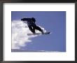 Snowboarding In Santa Fe, New Mexico, Usa by Lee Kopfler Limited Edition Print