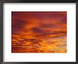 Sunset Fills The Cloud With Golden Red Color by Janis Miglavs Limited Edition Print