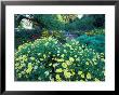 Prescott Park Garden, New Hampshire, Usa by Jerry & Marcy Monkman Limited Edition Print