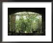 A Curtained Window In The Luxurious Lobby Of The St. Regis Hotel by Richard Nowitz Limited Edition Pricing Art Print