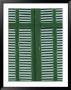 Green And White Shutters by Steve Raymer Limited Edition Print