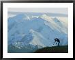 A Photographer Silhouetted Against Snow-Covered Mt. Mckinley by Joel Sartore Limited Edition Pricing Art Print
