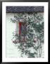 Traditional Cottage, County Mayo, Ireland by William Sutton Limited Edition Print