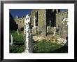 Graveyard In Quin Abbey, County Clare, Ireland by William Sutton Limited Edition Print
