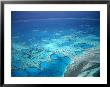 Hardy Reef, Queensland, Australia by David Ball Limited Edition Print
