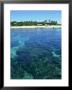 Tavarua Island, Fiji by Scott Winer Limited Edition Pricing Art Print