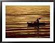 Person In Boat In Water by Lee Peterson Limited Edition Print