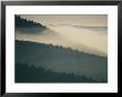 Mist Rises Along Tree-Lined Ridges At Cape Enrage On The Bay Of Fundy by Michael S. Lewis Limited Edition Print
