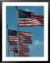 Flags Blowing In Wind, Washington Dc, Usa by Eric Wheater Limited Edition Print
