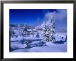 Fountain Paint Pots In Wintertime, Yellowstone National Park, Wyoming, Usa by Carol Polich Limited Edition Print