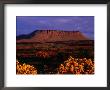 Benbulbin Mountain, County Sligo, Ireland by Gareth Mccormack Limited Edition Pricing Art Print