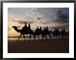 Camel Riding On Beach, Broome, Australia by John Banagan Limited Edition Print