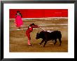 Bullfights Begin With Bleeding Of The Bull, San Luis Potosi, Mexico by Russell Gordon Limited Edition Print