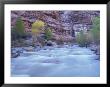Virgin River And Honeycomb Rocks Area, Zion National Park, Utah, Usa by Jamie & Judy Wild Limited Edition Print