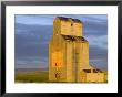 Old Granary At Sipple, Montana, Usa by Chuck Haney Limited Edition Print