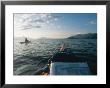 Kayaking Near Eaton Point In Ernest Sound, South East Alaska by Mike Tittel Limited Edition Print