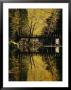 Trees And A Footbridge Are Reflected In The Merced River by Marc Moritsch Limited Edition Print