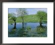 Marshy Area Near The Lejre Open-Air Museum by Sisse Brimberg Limited Edition Print