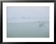Misty Landscape, Muritz National Park, Germany by Norbert Rosing Limited Edition Print