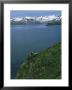 An American Bald Eagle Perches On Its Clifftop Nest by Klaus Nigge Limited Edition Print