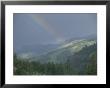 A Rainbow Bridges Lamar Valley Near Specimen Ridge After A Rain Storm by Raymond Gehman Limited Edition Print