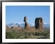 Balanced Rock And Formations Shaped By Erosion, Arches National Park by Taylor S. Kennedy Limited Edition Print