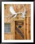 Cabin At Kantishna Roadhouse In Denali National Park, Alaska, Usa by Julie Eggers Limited Edition Pricing Art Print