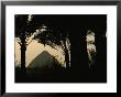 Bent Pyramid Framed By Silhouetted Palm Trees by Kenneth Garrett Limited Edition Print
