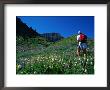 Hiking Mt. Timpanogos In The Wasatch National Forest, Utah, Usa by Cheyenne Rouse Limited Edition Print