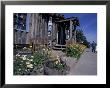 Tourist Shops In Downtown Homer, Kenai Peninsula, Alaska, Usa by Paul Souders Limited Edition Pricing Art Print