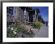 Tourist Shops In Downtown Homer, Kenai Peninsula, Alaska, Usa by Paul Souders Limited Edition Print