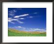 Spring Geen Fields, Palouse, Washington, Usa by Terry Eggers Limited Edition Print