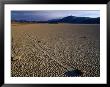Moving Rocks Of Death Valley, Death Valley National Park, California, Usa by Brent Winebrenner Limited Edition Print