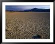 Moving Rocks Of Death Valley, Death Valley National Park, California, Usa by Brent Winebrenner Limited Edition Pricing Art Print