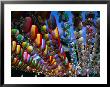 Strings Of Colourful Paper Lanterns Suspended Outside Temple, Seoul, South Korea by Juliet Coombe Limited Edition Print