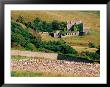 Overhead Of Drystone Walls In Front Of Clifden Castle, Clifden, Ireland by Richard Cummins Limited Edition Pricing Art Print