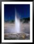 Plume Geyser In The Old Faithful Area, Yellowstone National Park, Wyoming, Usa by Carol Polich Limited Edition Print
