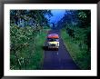 Bus On Country Road, Samoa by Peter Hendrie Limited Edition Print