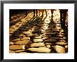 Via Sacra Cobblestones And Pedestrian Shadows At Roman Forum, Rome, Italy by Johnson Dennis Limited Edition Pricing Art Print
