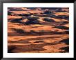 Aerial View Of Wheat Field In Palouse Region, Palouse, Usa by Nicholas Pavloff Limited Edition Print