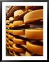 Cheese At Heidi Farm,Tasmania, Australia by John Hay Limited Edition Print