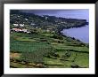 Walled Fields And Pastures Of Arrife On South Coast, Portugal by Wayne Walton Limited Edition Print