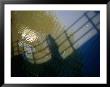 Shadow Of A Person Walking Across Bridge On Canal Water, Amsterdam, Netherlands by Martin Moos Limited Edition Print