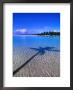 Shadow Of Palm Tree On Lagoon, Cook Islands by Peter Hendrie Limited Edition Print