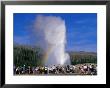 Tourists Watching Old Faithful Geyser, Yellowstone National Park, Usa by John Elk Iii Limited Edition Print