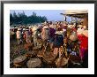 Crowds Of People With Baskets At Early Morning Fish Market, Hoi An, Quang Nam, Vietnam by Anders Blomqvist Limited Edition Print