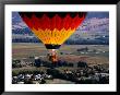 Hot Air Balloon Over The Napa Valley, Napa Valley, United States Of America by Jerry Alexander Limited Edition Pricing Art Print