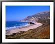 Coastal Landscape At El Sur Ranch, California, Usa by Lee Foster Limited Edition Print