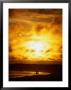 Couple In Silhouette On Beach Beneath Sunset, Isla Santa Cruz, Galapagos, Ecuador by Mark Newman Limited Edition Print